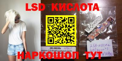 спиды Кимры