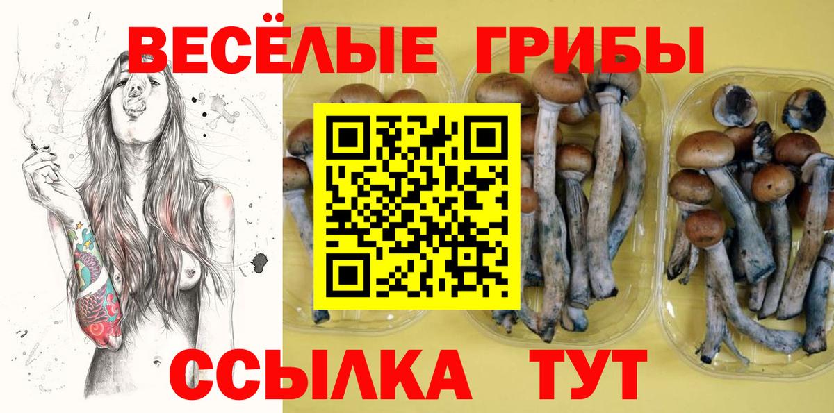 Комсомольск-на-Амуре  Псилоцибиновые грибы прущие грибы  Псилоцибиновые грибы Cubensis  Вход с VPN 